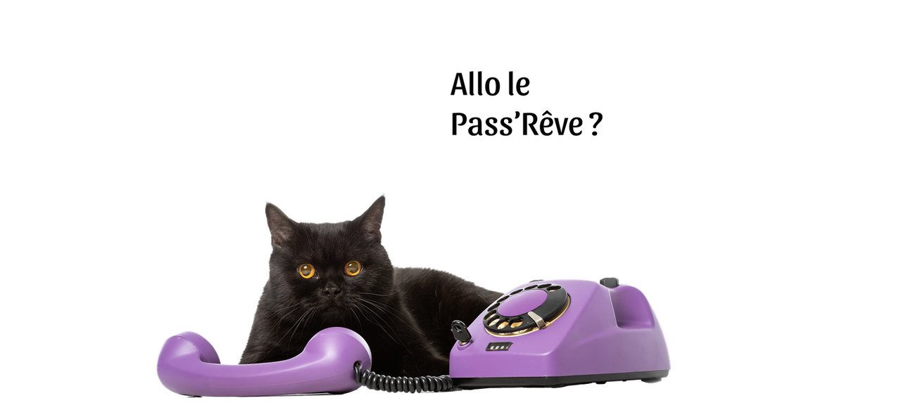 Nous contacter